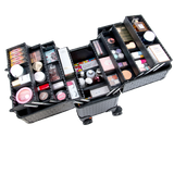 Move- Professional Makeup Travel Case