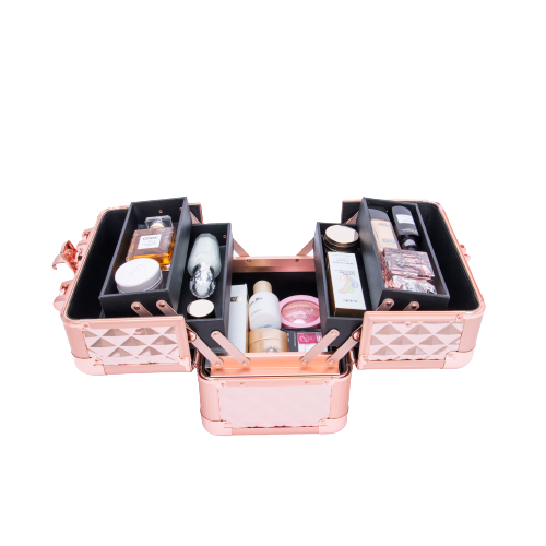 Makeup Case  Professional Makeup Vanity Case – salonscart