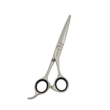 PRO SLEEK 5.5- PROFESSIONAL HAIR CUTTING SCISSOR